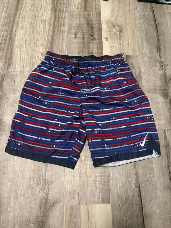 Nike Other - Nike Men's Americana Horizon Stripe 9" Swim Trunks